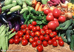 农产品价格回落 生产稳定助力明年CPI预期下行