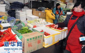 从海南到北京 蔬菜千里运销，一斤仅赚一毛四的农产品生产链透视