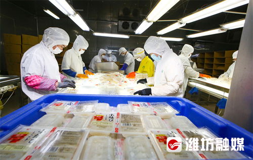 在创新沃野上书写中国农业现代化新答卷——潍坊农业现代化发展观察