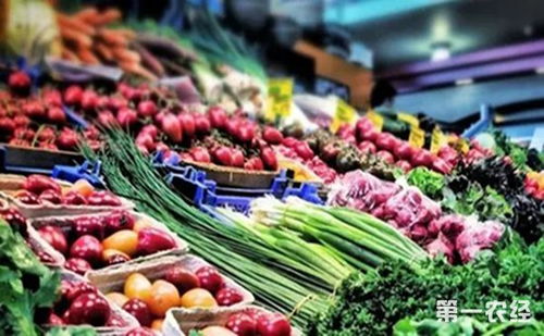 衢江区“智慧监管”护舌尖 在线监控+速检室筑牢农产品安全防线