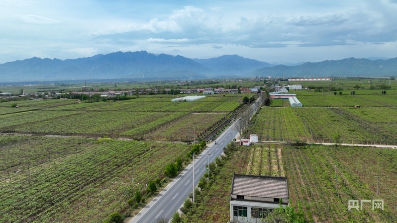 乡路上，感受脉动中国——美丽乡路服务提质，地标鲜果助力振兴