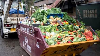 粮仓告急与丰收捷报 透视中美农产品生产与粮食安全