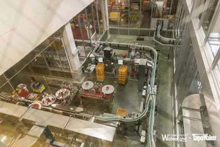 “奇迹村”的致富密码 从一棵果树到年销2亿的农业传奇