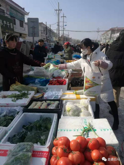 白马铺镇多措并举，全力保障春节期间农产品质量安全